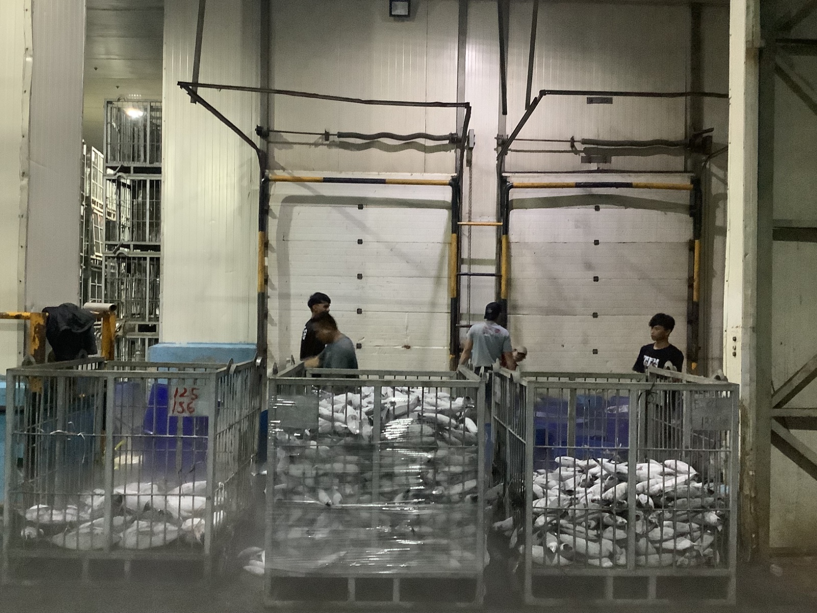 1st Picture of PT. Global Fish Indonesia's Warehouse Activities