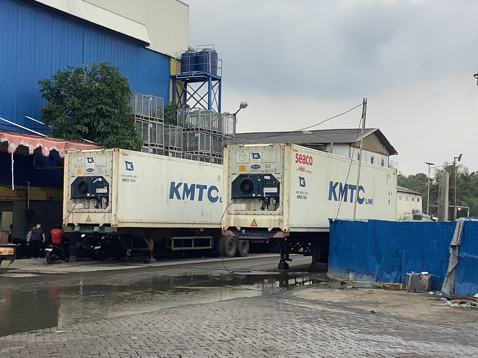 3rd Picture of PT. Global Fish Indonesia's Warehouse Activities3