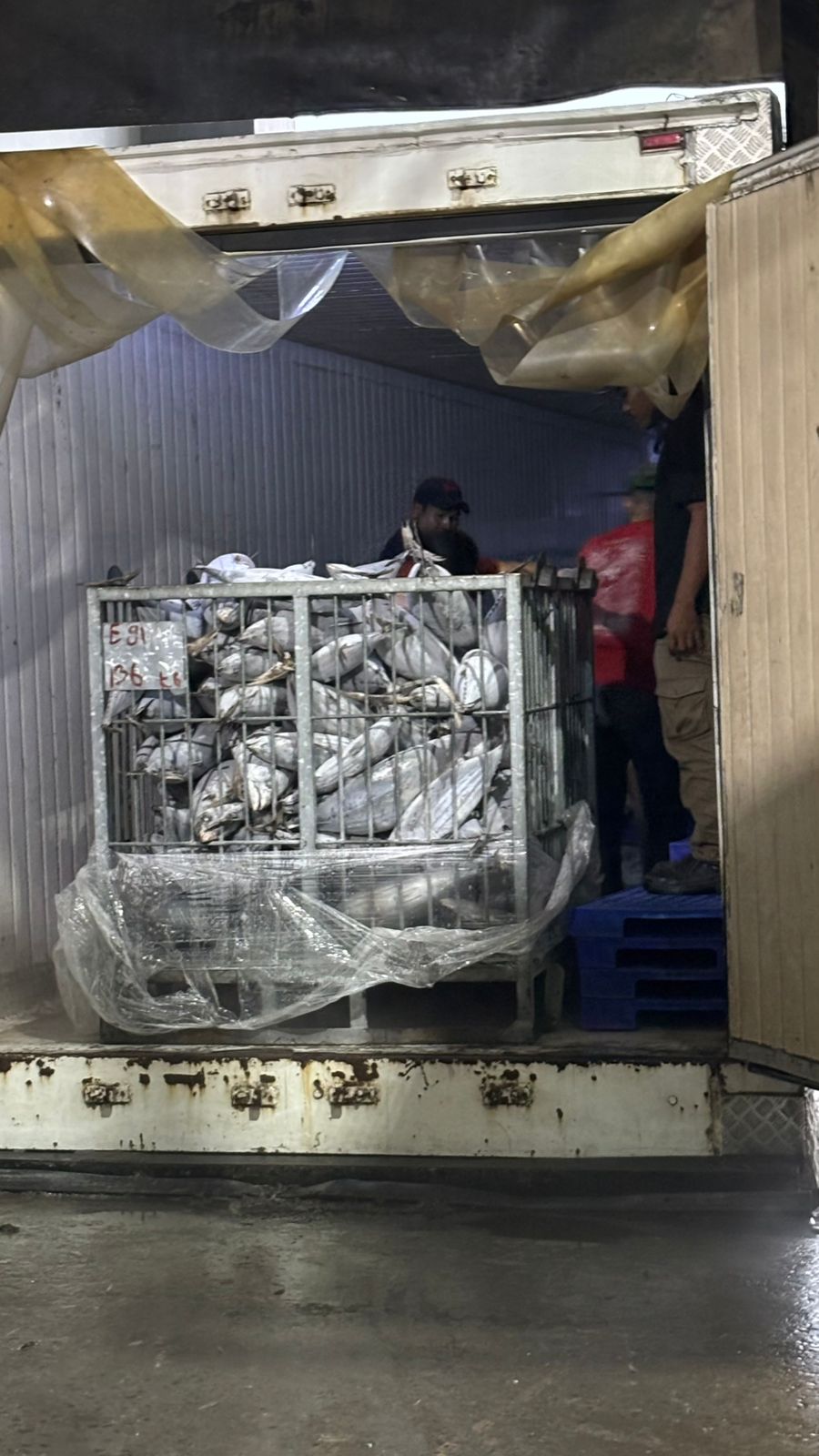 6th Picture of PT. Global Fish Indonesia's Warehouse Activities